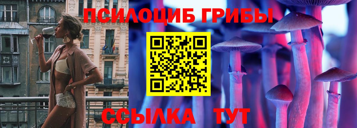 Петровск  Псилоцибиновые грибы мицелий  Галлюциногенные грибы мицелий  Вход с VPN 